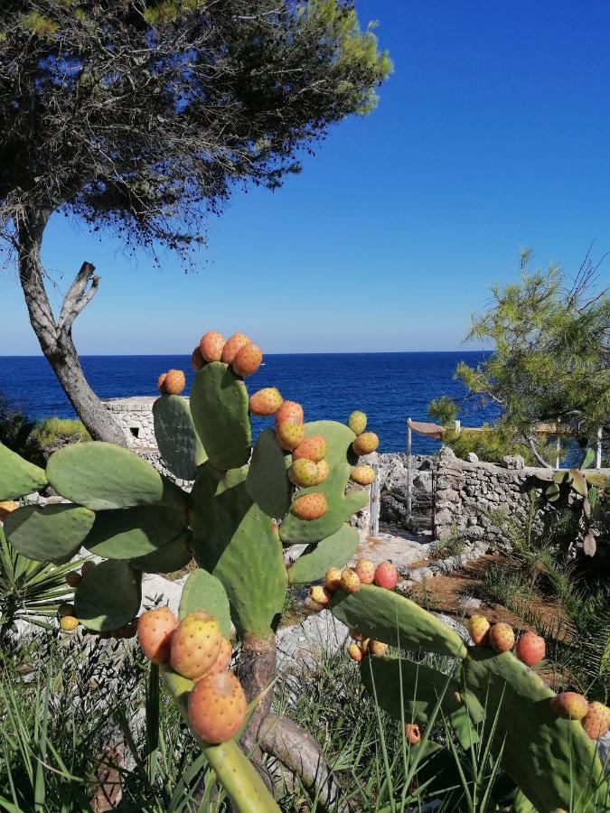 Villa Marigiosa Salento Мариттима Экстерьер фото