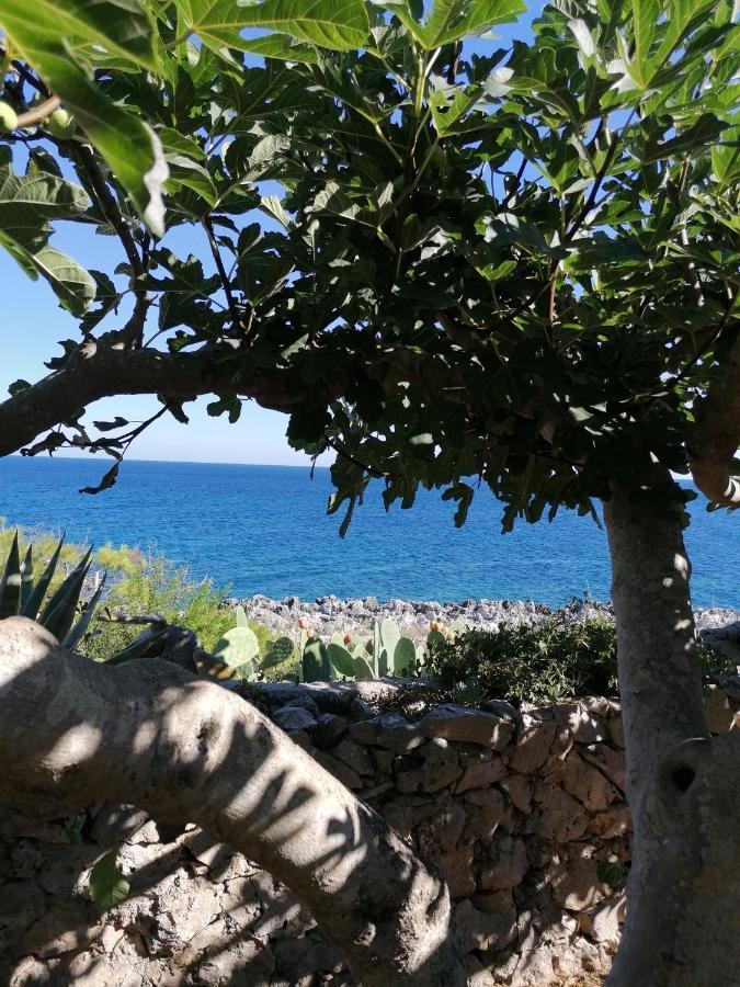 Villa Marigiosa Salento Мариттима Экстерьер фото